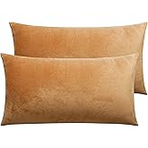 NTBAY 2 Pack Zippered Velvet King Pillowcases, Super Soft and Cozy Luxury Fuzzy Flannel Pillow Cases with Zipper, 20x36 Inches, Camel