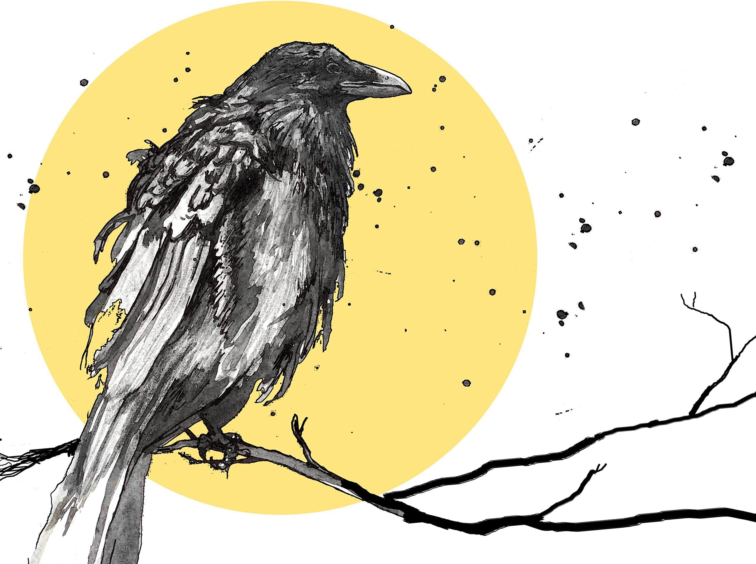 Custom Raven Print