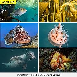 SeaLife Micro 3.0 Pro Duo 5000 Set Underwater
