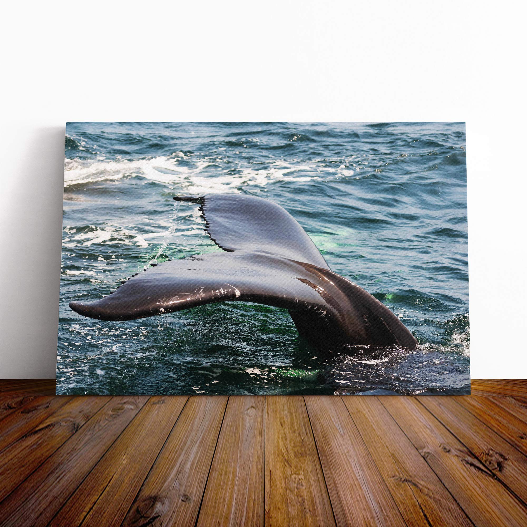 Whale Tail Canvas Print | Gallery Wrapped 30mm Frame Wall Art | 20x14 inches | Ready to Hang | Modern Animals Picture | Living Room Bedroom Lounge Office