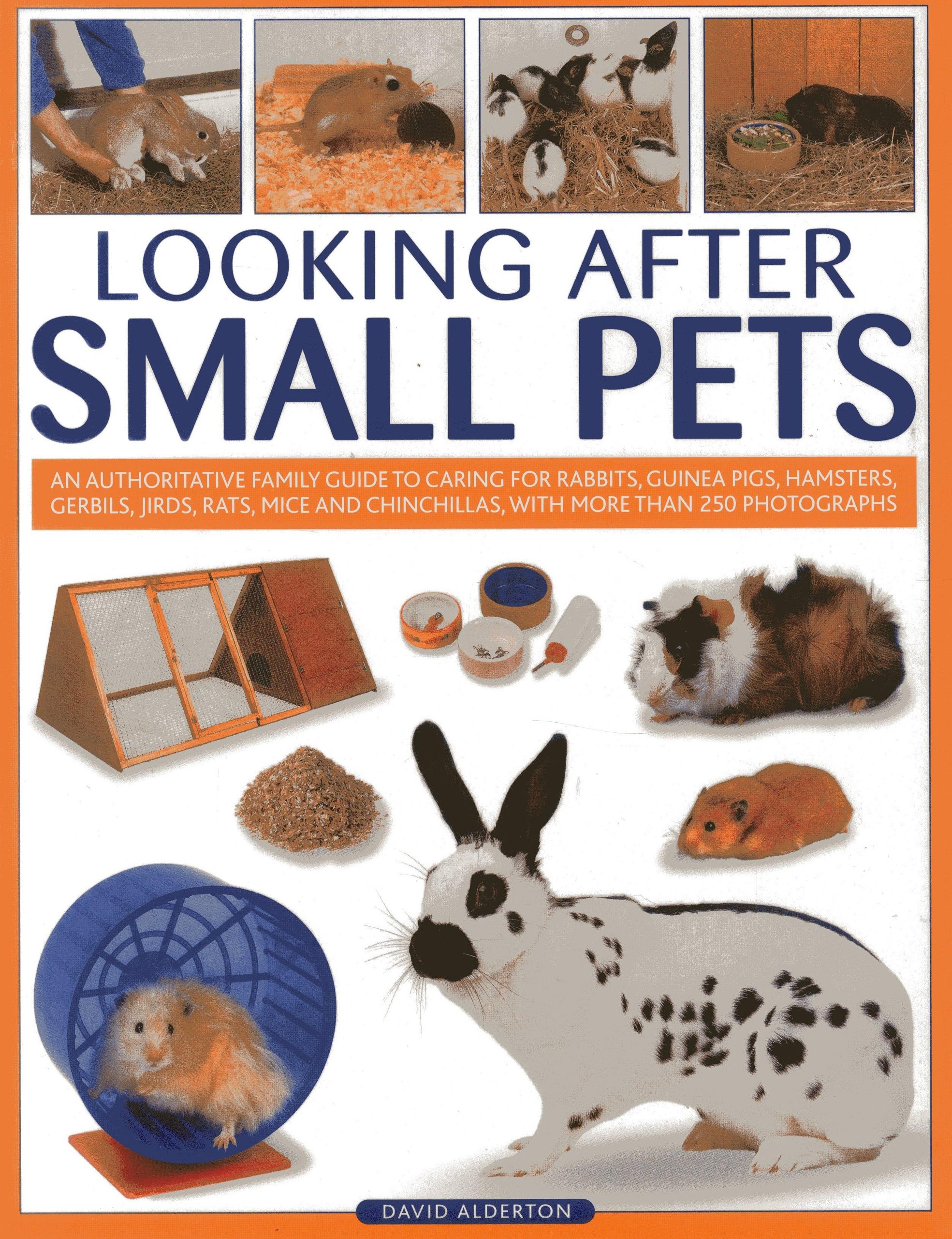 small pets
