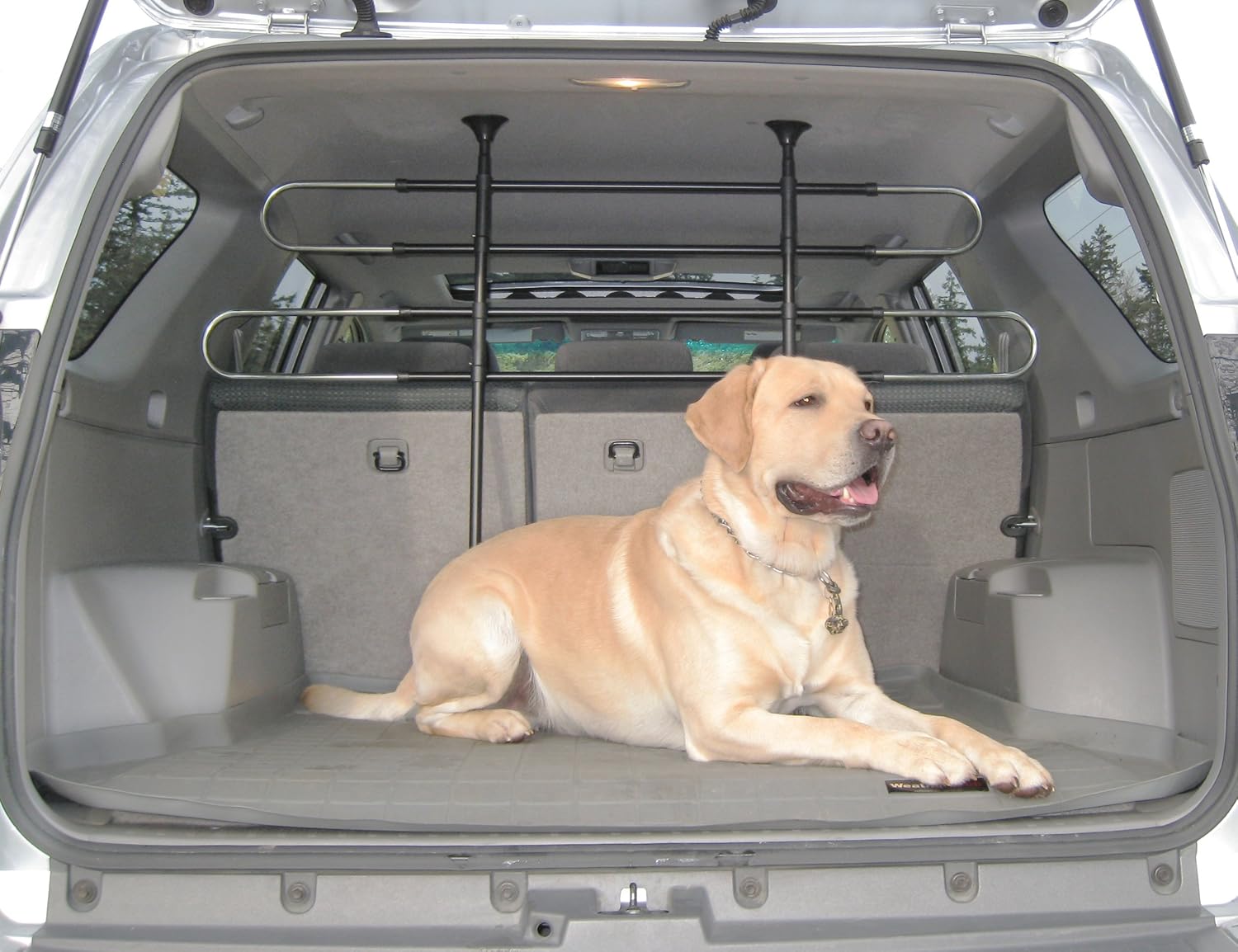 Heininger 3048 PortablePET Pet Partition (adjustable 27" to 45"),Black: Automotive