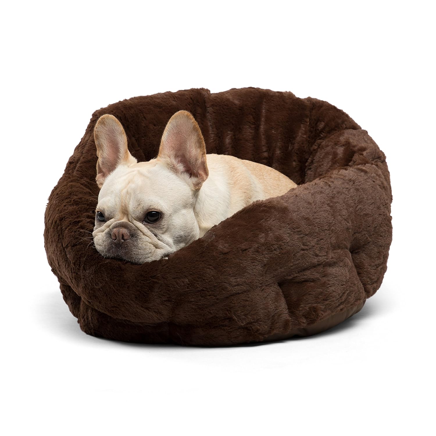 7 Best Heated Dog Beds Pet Travel Questions