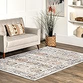 nuLOOM Rue Traditional Bordered Machine Washable Area Rug, 4x6, Beige