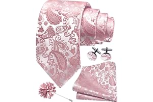 GUSLESON 3.15"（8cm） Mens Paisley Tie and Lapel Pin Necktie Hankerchief Cufflinks Set for Men