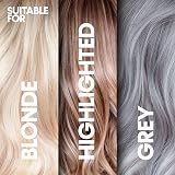 PROVOKE Touch Of Silver Leave-In Conditioner 150 ml Anti-heat Damage view 5