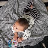 Baby Einstein Ocean Explorers Maritime Melodies Musical Toy Ages 3 Months+ view 5