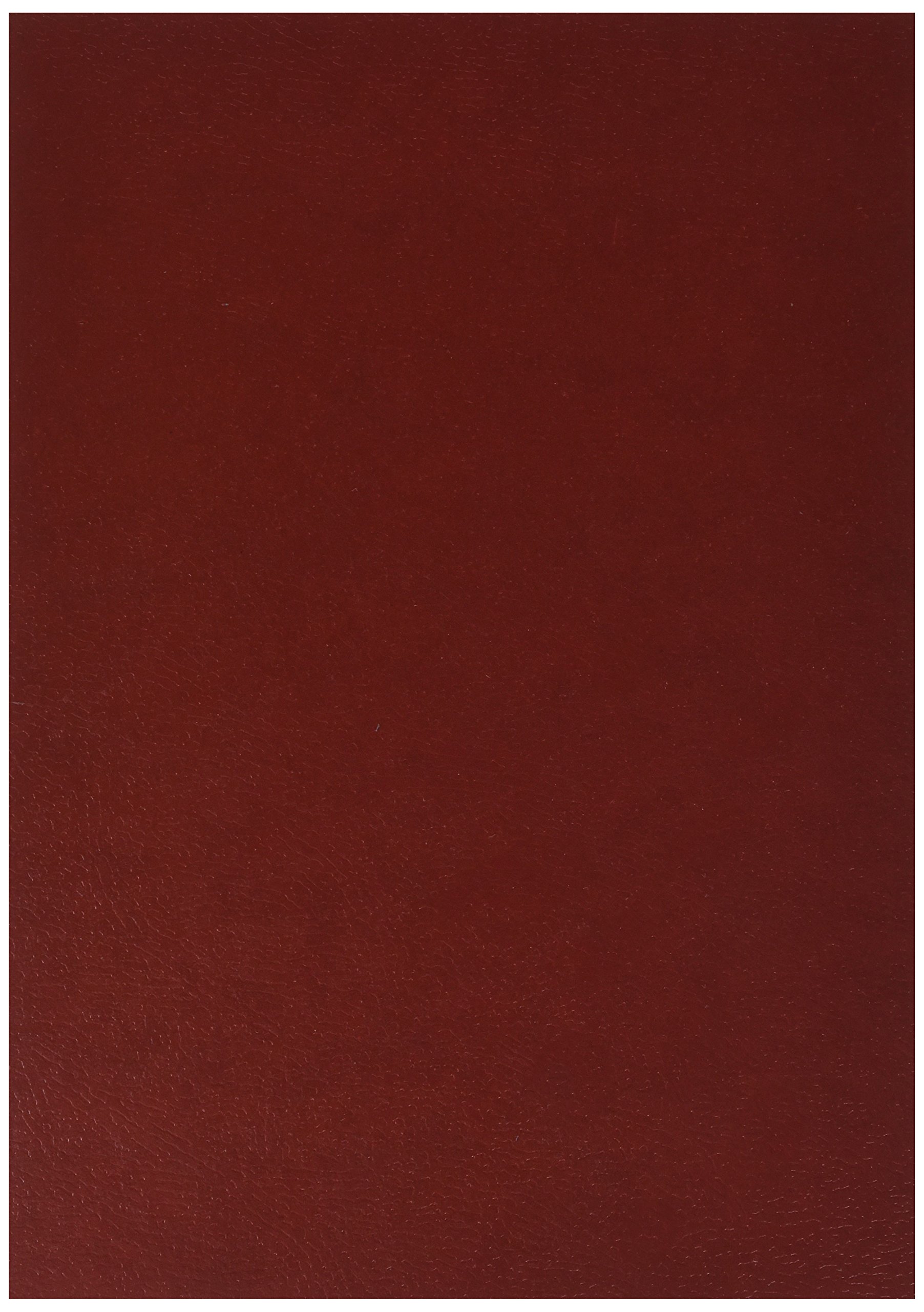 Fellowes 5135701 – Extra Strong Card Binding Covers, A4 A4 red