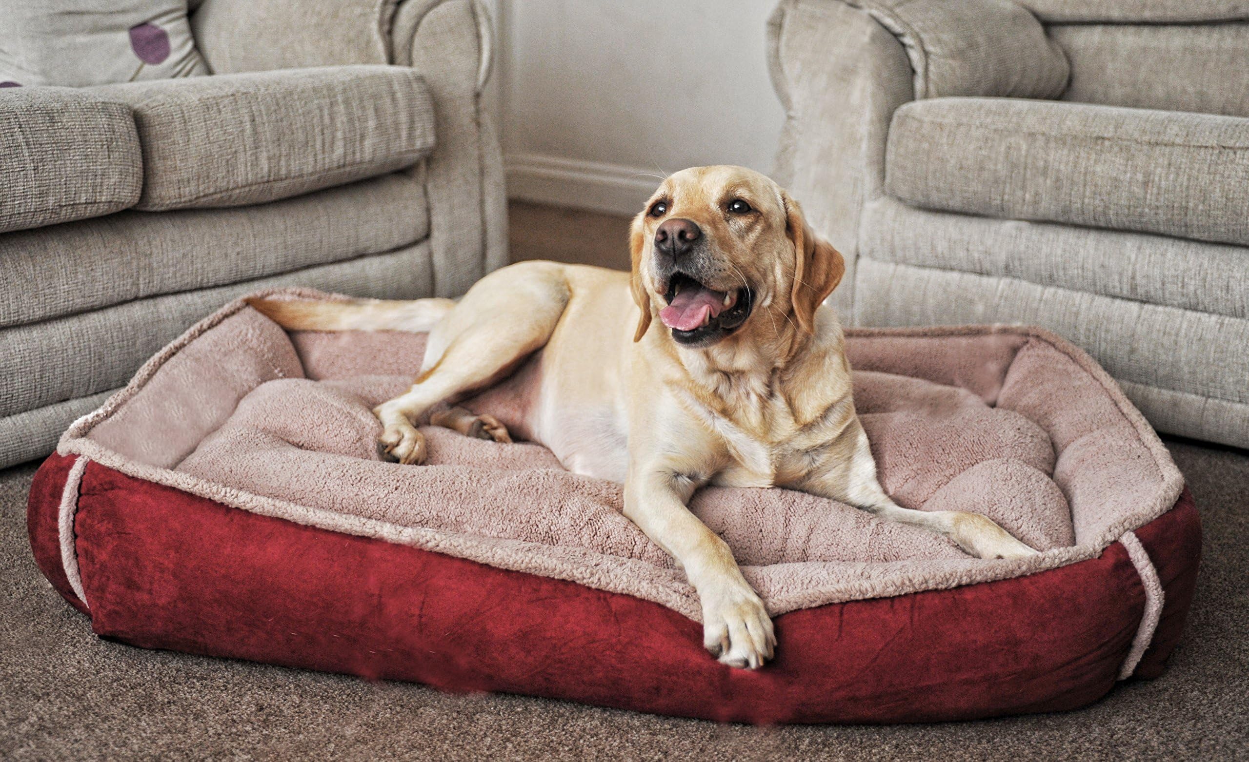 Luxury Fleece Cradle Dog Bed Size Extra Large