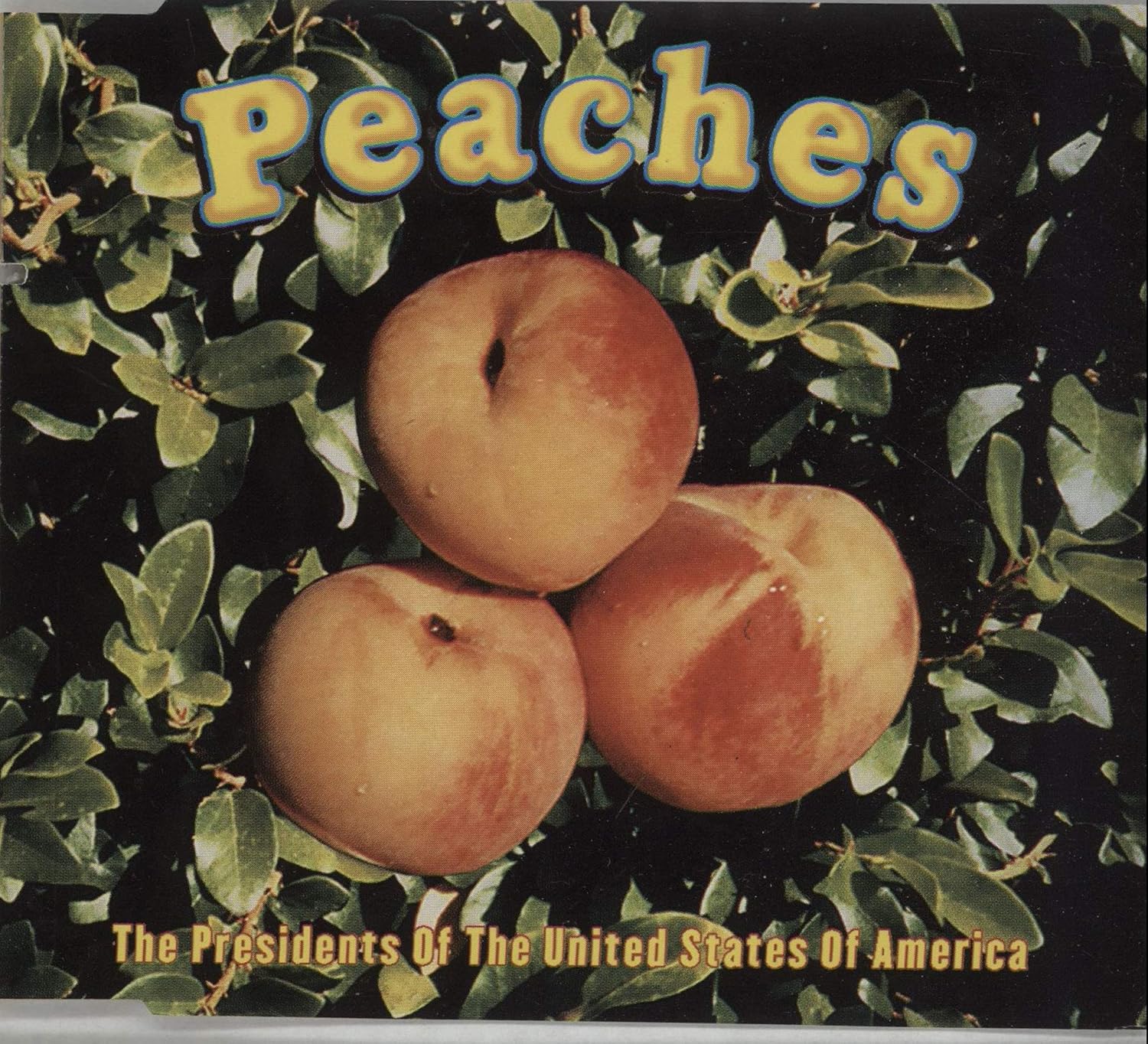 Peaches Lyrics American Presidents at Glenda Stevens blog