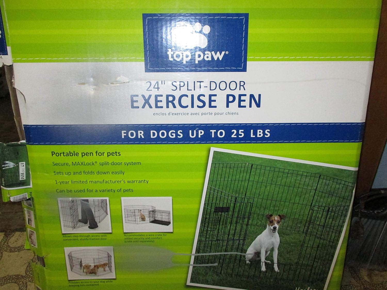 top paw pen