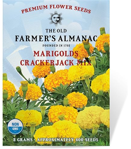 Amazon.com : Marigold Seeds for Planting Outdoors, Pack of 2500 Flower Seeds  for Plating (Yellow) : Patio, Lawn & Garden