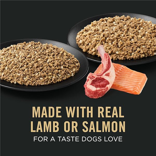 PURINA PRO PLAN SENSITIVE SKIN AND STOMACH WET DOG FOOD, SALMON AND RICE AND LAMB AND OAT MEAL VARIETY PACK – (PACK OF 12) 13 OZ. CANS