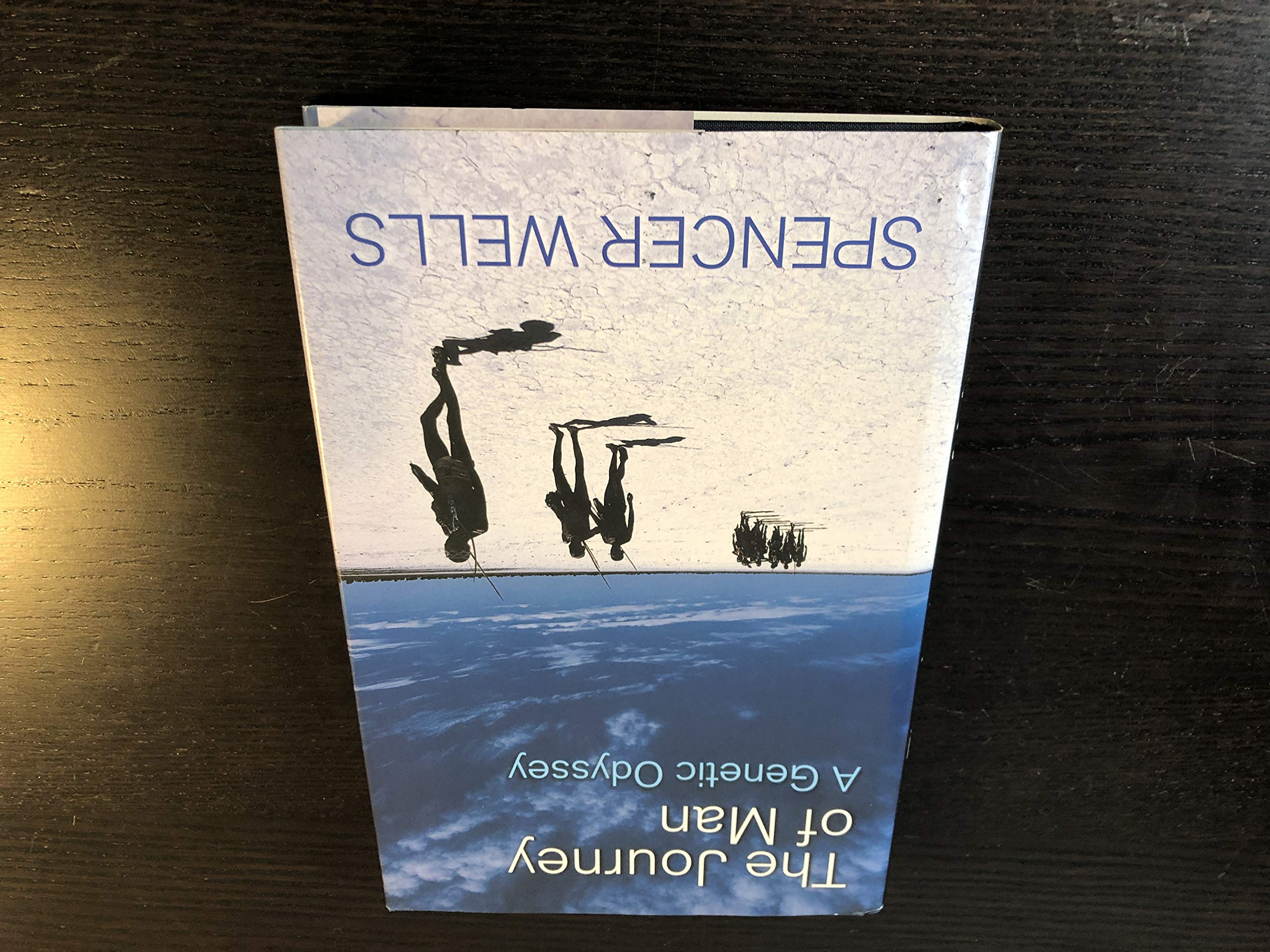 The Journey of Man: A Genetic Odyssey Image