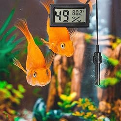 Weewooday Mini Digital Temperature Humidity Meters