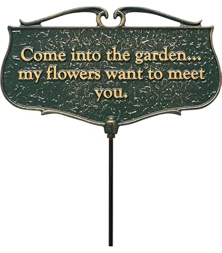 Amazon.com: Whitehall 10042 