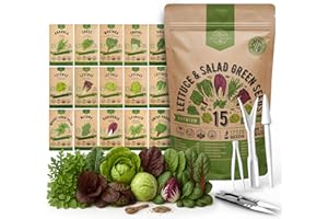 Organo Republic 15 Lettuce & Salad Greens Seeds Variety Pack 17700+ Non-GMO Heirloom Lettuce Seeds for Indoors & Outdoors Garden, Hydroponics, Aerogarden - Arugula, Kale, Spinach, Swiss Chard, Lettuce