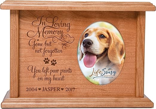 petsmart dog life jacket