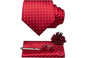 JEMYGINS Mens Tie and Lapel Pin Necktie Pocket Square Cufflinks and Tie Clip Sets for Business Casual 5PCS