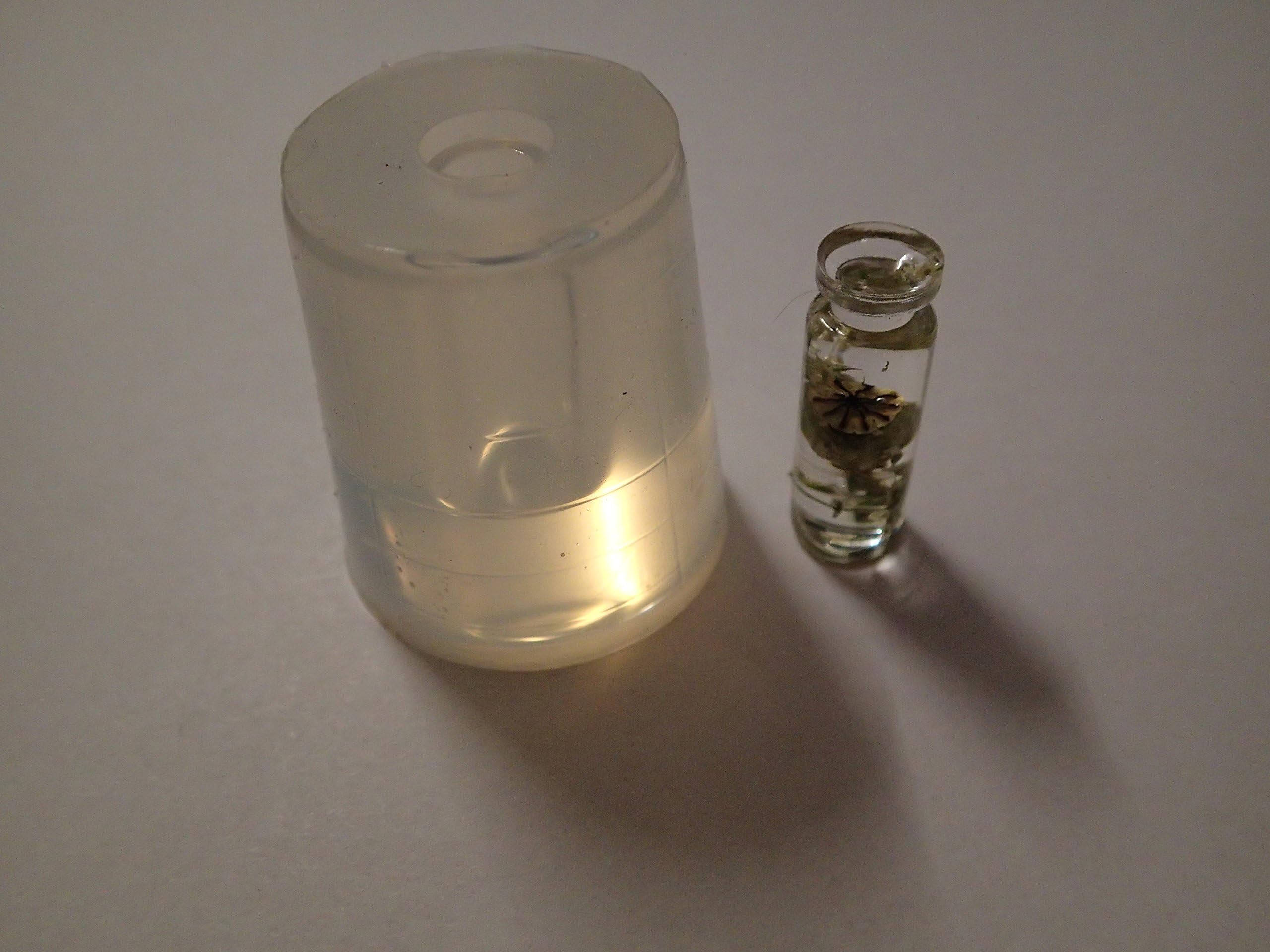 Clear silicone bottle mould for resin jewellery H 29 x 10 mm