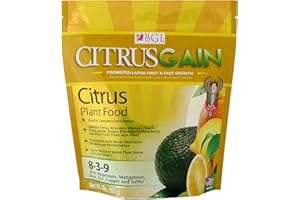 BGI Fertilizers Citrusgain Bag, Citrus Fertilizer, Citrus Plant Food, 2 lb