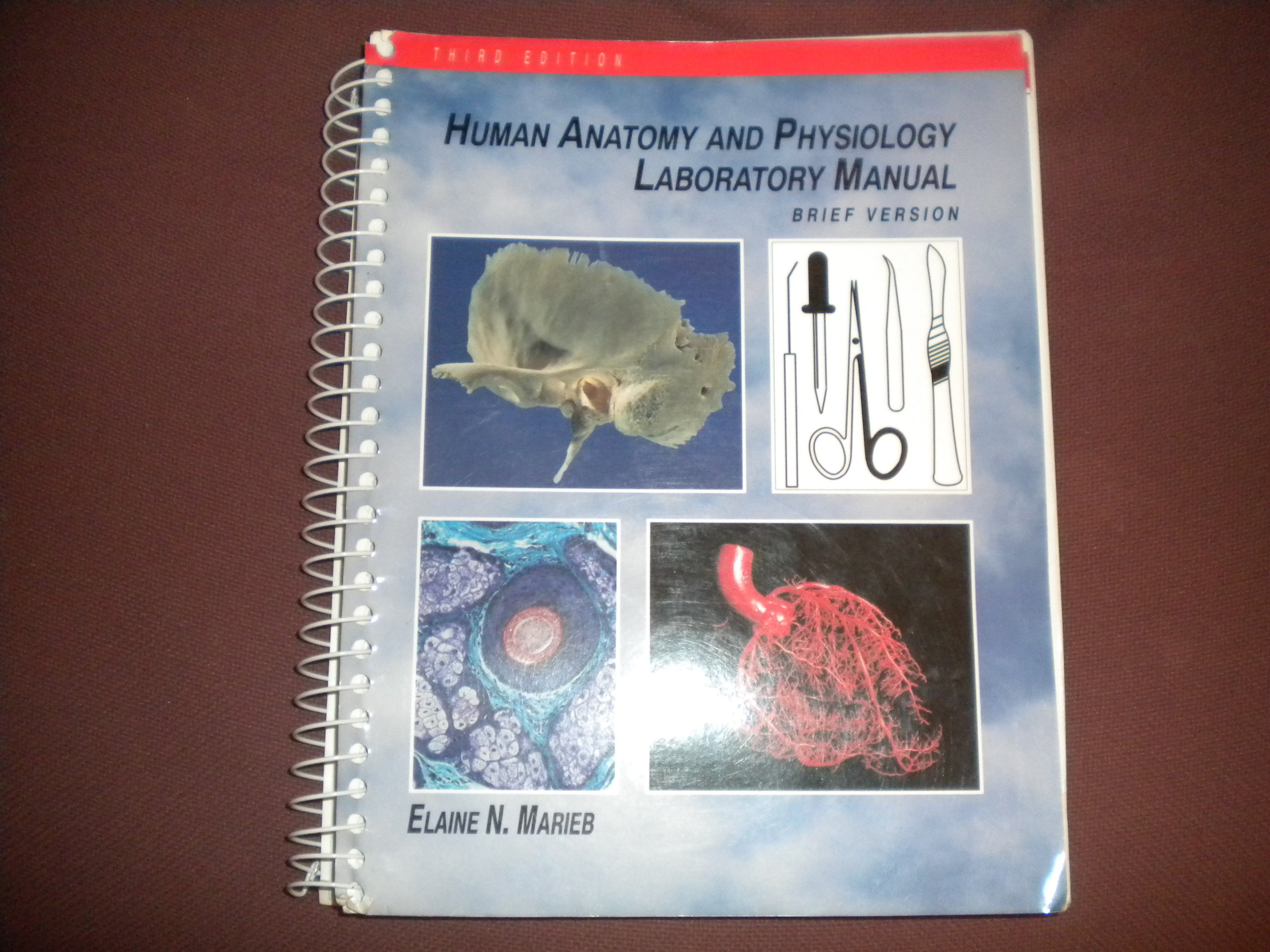 Human Anatomy and Physiology, Lab Manual,: Brief Version (Benjamin/Cummings  Series in Human Anatomy and Physiology) Paperback – Import, 31 Aug 1992