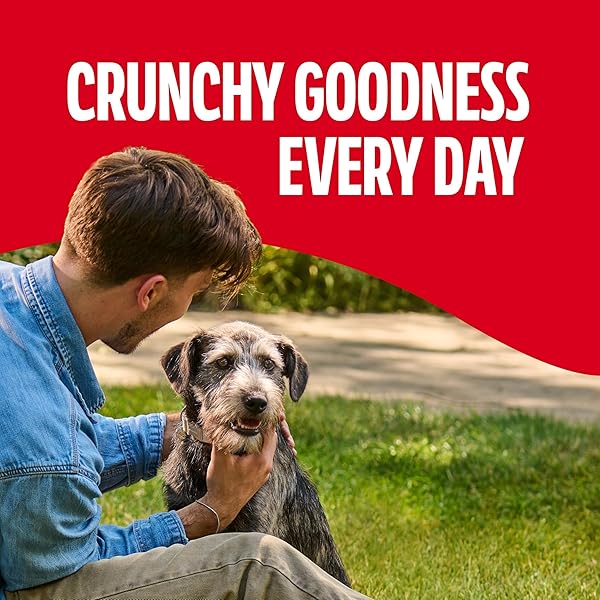 MILK-BONE ORIGINAL DOG TREATS BISCUITS FOR MEDIUM DOGS, 24 OUNCES (PACKAGING MAY VARY)
