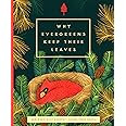 Why Evergreens Keep Their Leaves