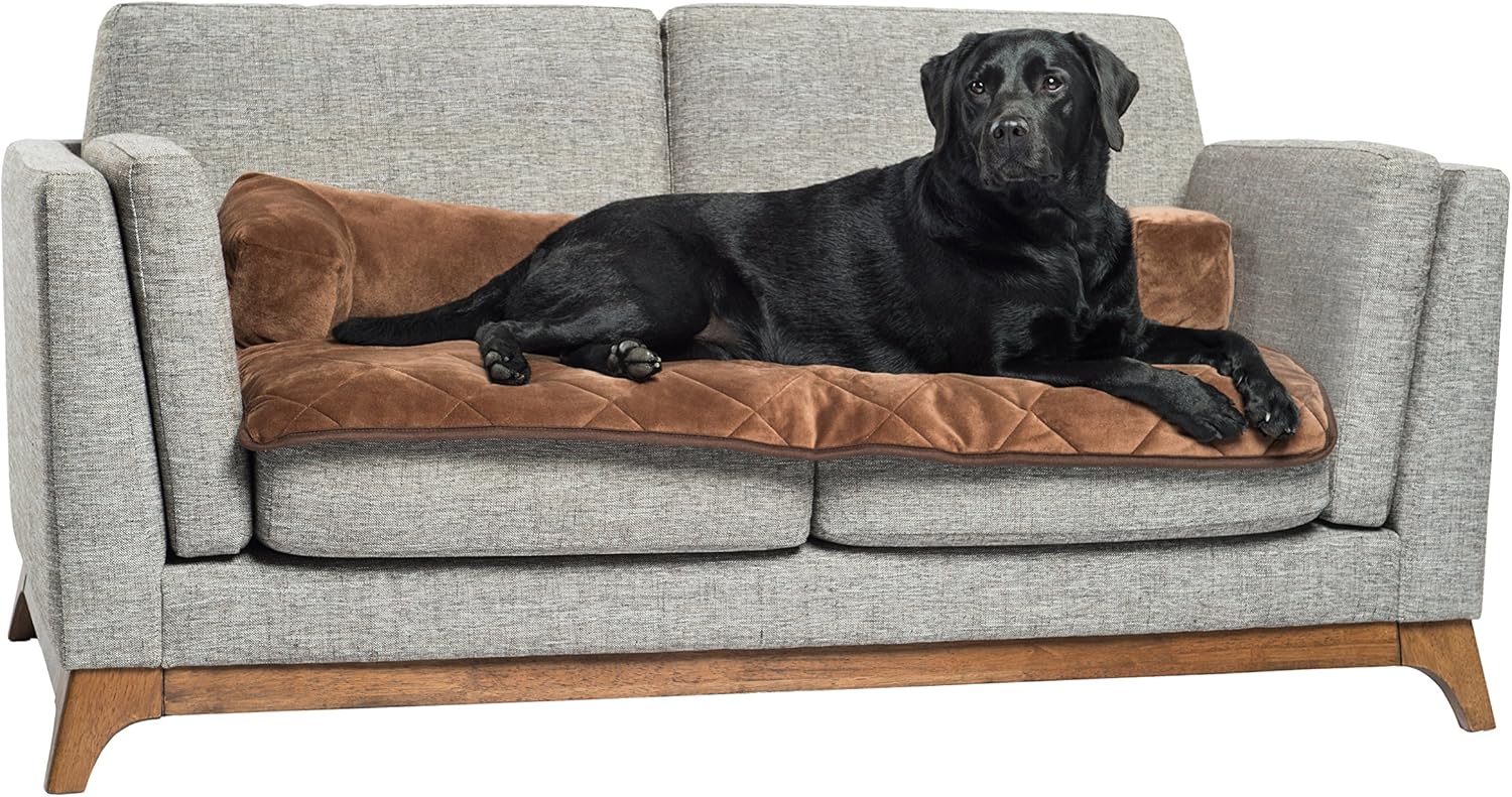 Best dog bolster furniture protector