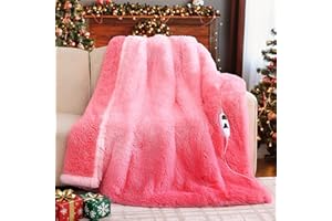 RUJIPO Heated Electric Blanket Heating Throw,Warm Winter Christmas Birthday Gifts for Her Women Grandma Seniors-Faux Fur Blanket with Soft Sherpa,10 Heat Settings,5 Time Settings,50x60, Baby Pink