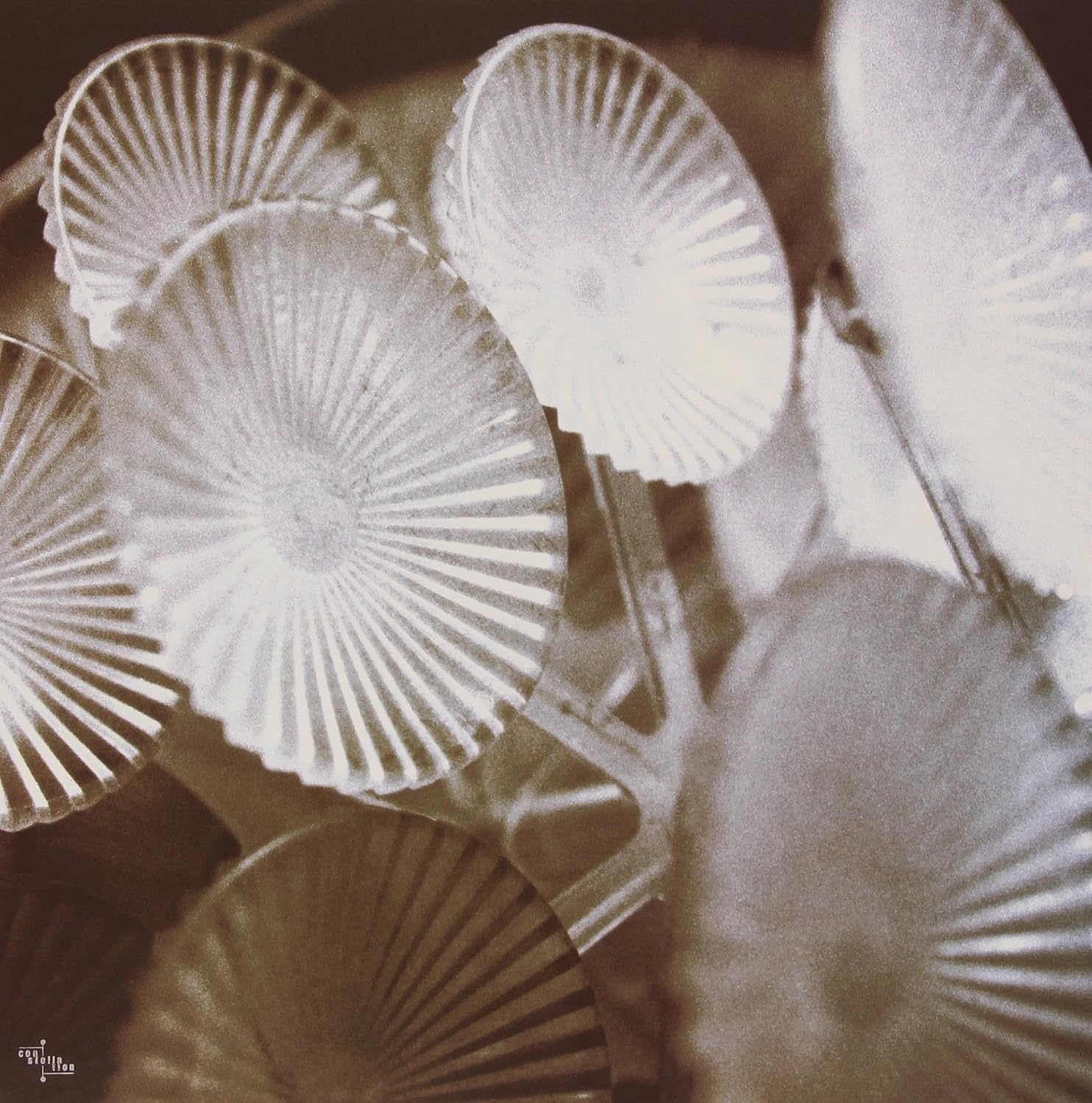 saltland i thought it was us saltland i thought it was us