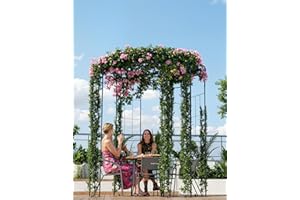 106.3" h Birdcage Gazebo, 78.74" w Metal Garden Arbor for Climbing Roses, Outdoor Wedding Arch Trellis for Backyard Patio – B
