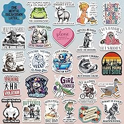 200 PCS Funny Holographic Stickers for