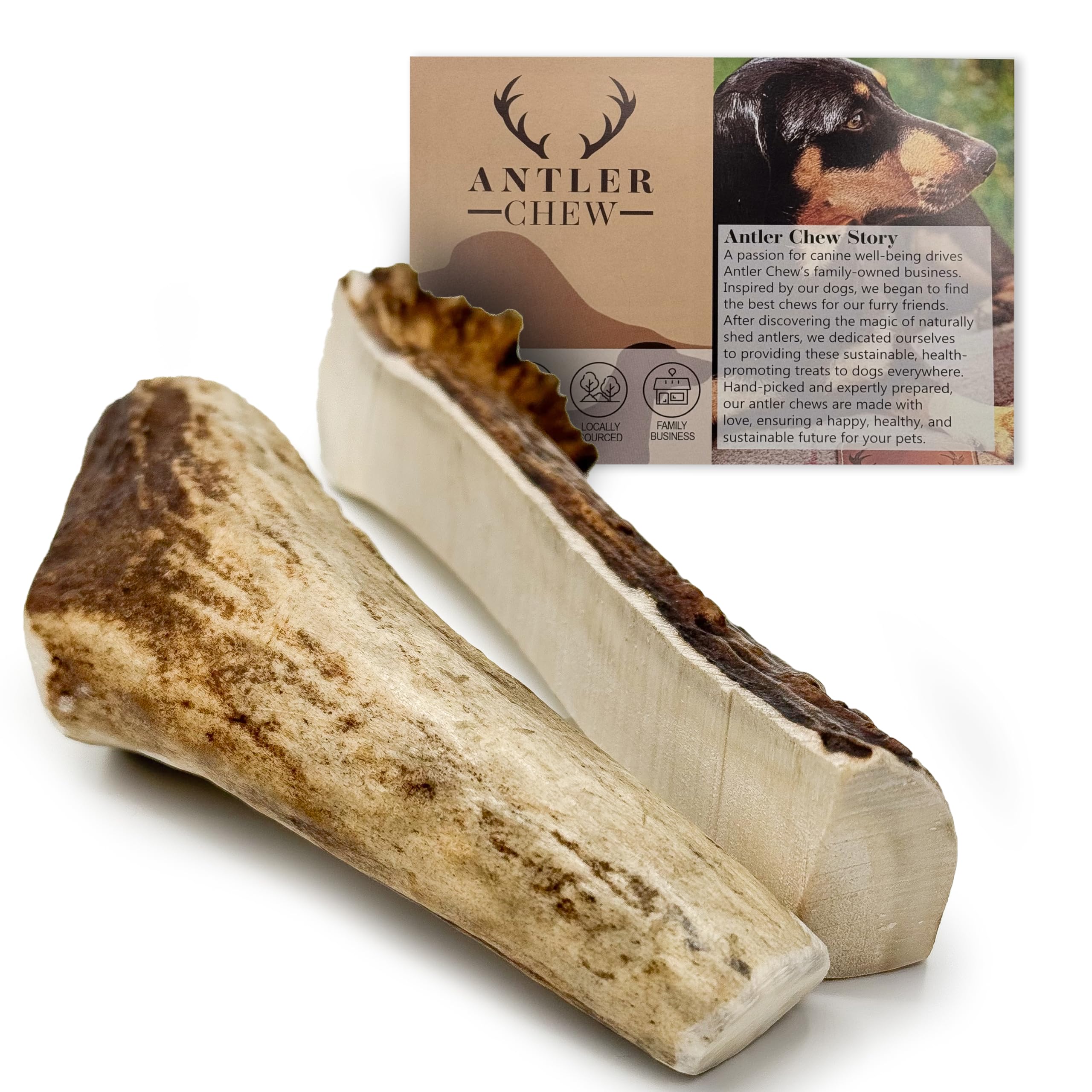 Antler Chew - Medium Elk/Moose Split or Full Antlers for Dogs (2 Pack, 70-120g) Natural, Long-Lasting Dental Treats — image 1