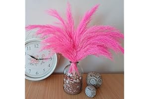 STLC CONCEPT Pink Pampas Grass Decor, Natural Dried Flowers, 17 inches, 10 Stems, Colorful Pompas Floral, Colored Feathers, Plants for Living Room Decor, Weddings (17” Pink, 10 pcs)