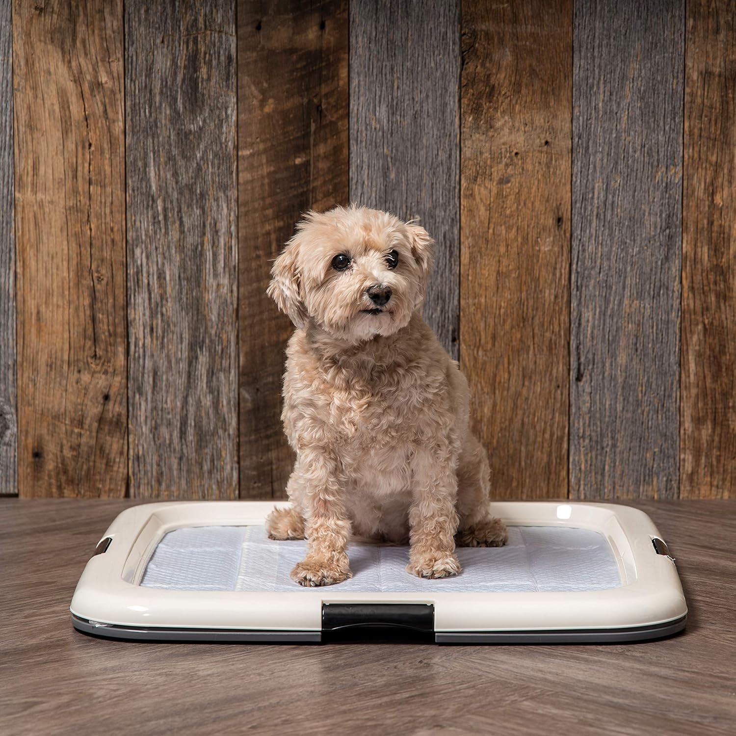 IRIS'-Sq Square Pet Training Pad Holder, Dark Gray : Pet Supplies