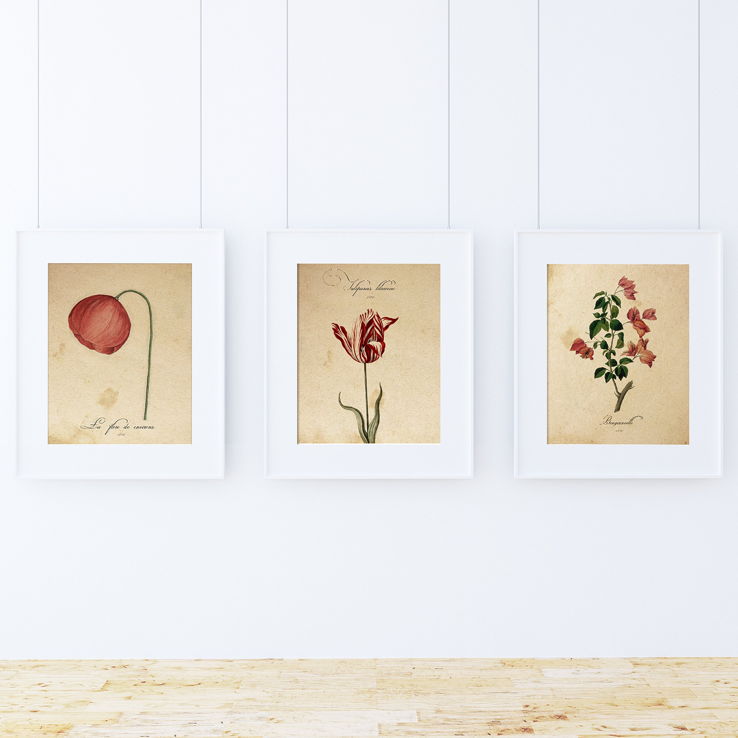 Nacnic Pack of Sheet Red ONE. Posters with Images of Botanical. Home Decor. Sheets for framing 250 gr. paper. — image 1