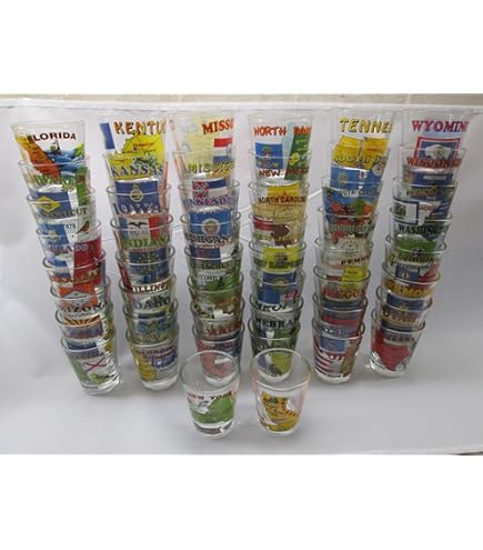 Collector Es Washington DC Souvenir - 2.25" Tall State Elements Map Design Collectible Shot Glass
