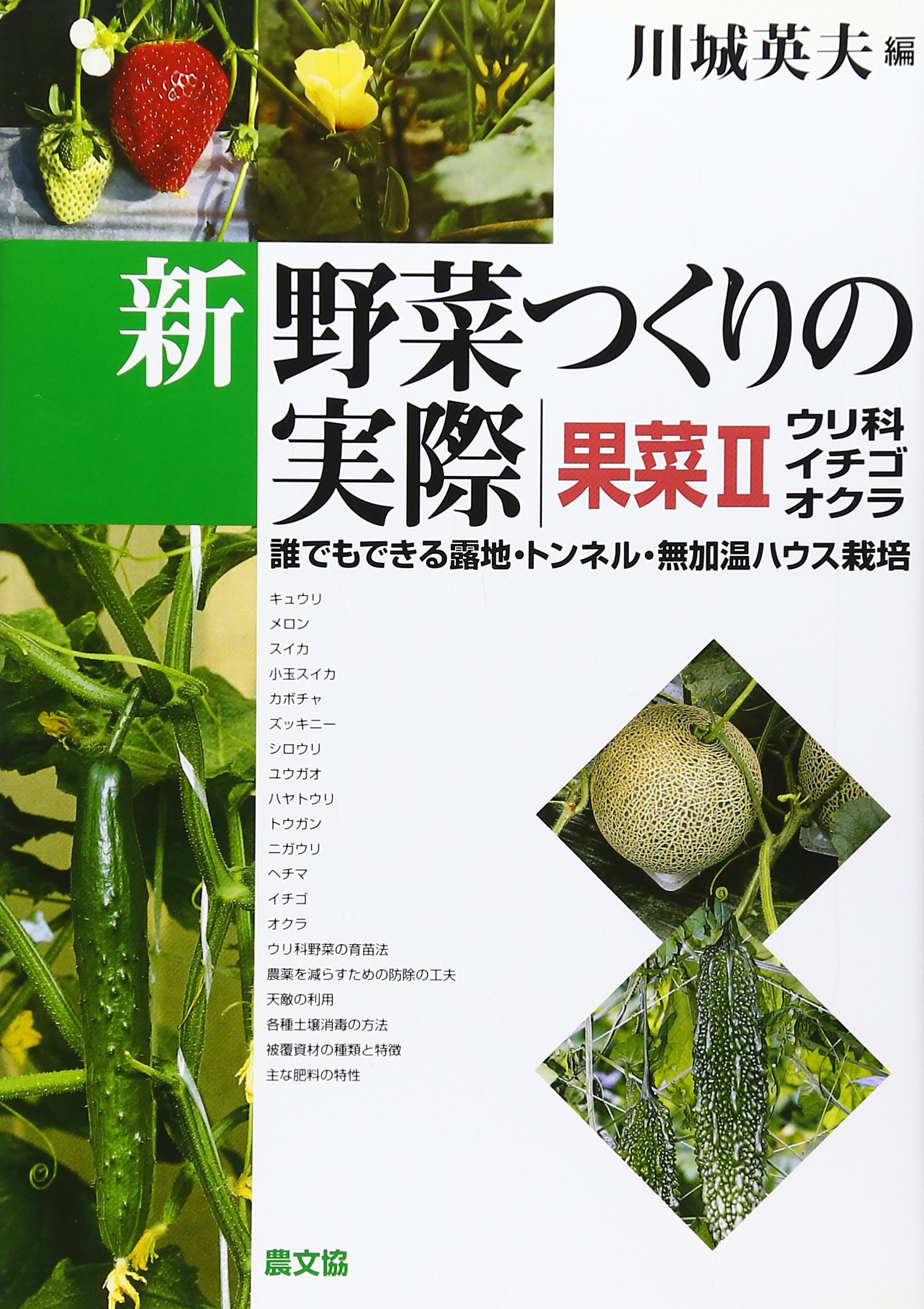 新野菜つくりの実際 誰でもできる露地 トンネル 無加温ハウス栽培 果菜2 Amazon Nl Boeken