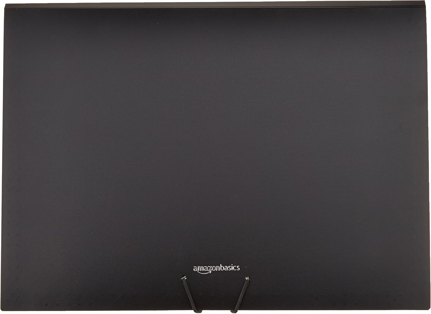 Basics Expanding Organizer File Folder, Letter Size - Black : Office Products
