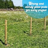 Circle of Trust 1.2 m Wooden Garden Stake 5 cm Thick Pressure Treated view 5