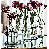5pc Glass Flower Vase with Metal Holder, Best Vases for Flowers, Set for Home Decor, Wedding Decorations, Table Decor, Kitchen, Bathroom, Bedroom, Shelf Decor, Best Modern Vase for Flower Arrangement
