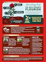 Westland Rose Food Enriched with Horse Manure 1 kg Plant Stimulant view 2