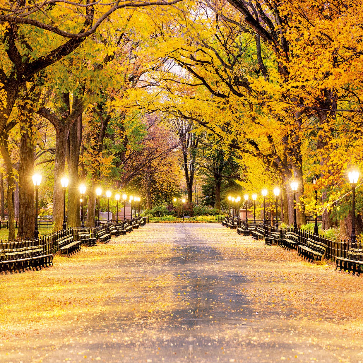 Wolada 7x5ft Superhero Backdrops Vinyl Super City Photo Backgrounds Photography Birthday Party For Children 11046 Electronics Video Uni Tankers Dk