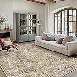 Bavni Clearance 5x7 Area Rugs for Living