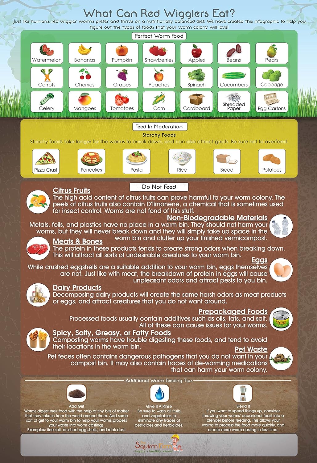 What Can Red Wigglers Eat? 13x19 Infographic Poster for Live Red Wiggler Worm Composting Bins - an Essential Accessory to Any Worm Farm Starter Kit - Perfect for Kids & Adults