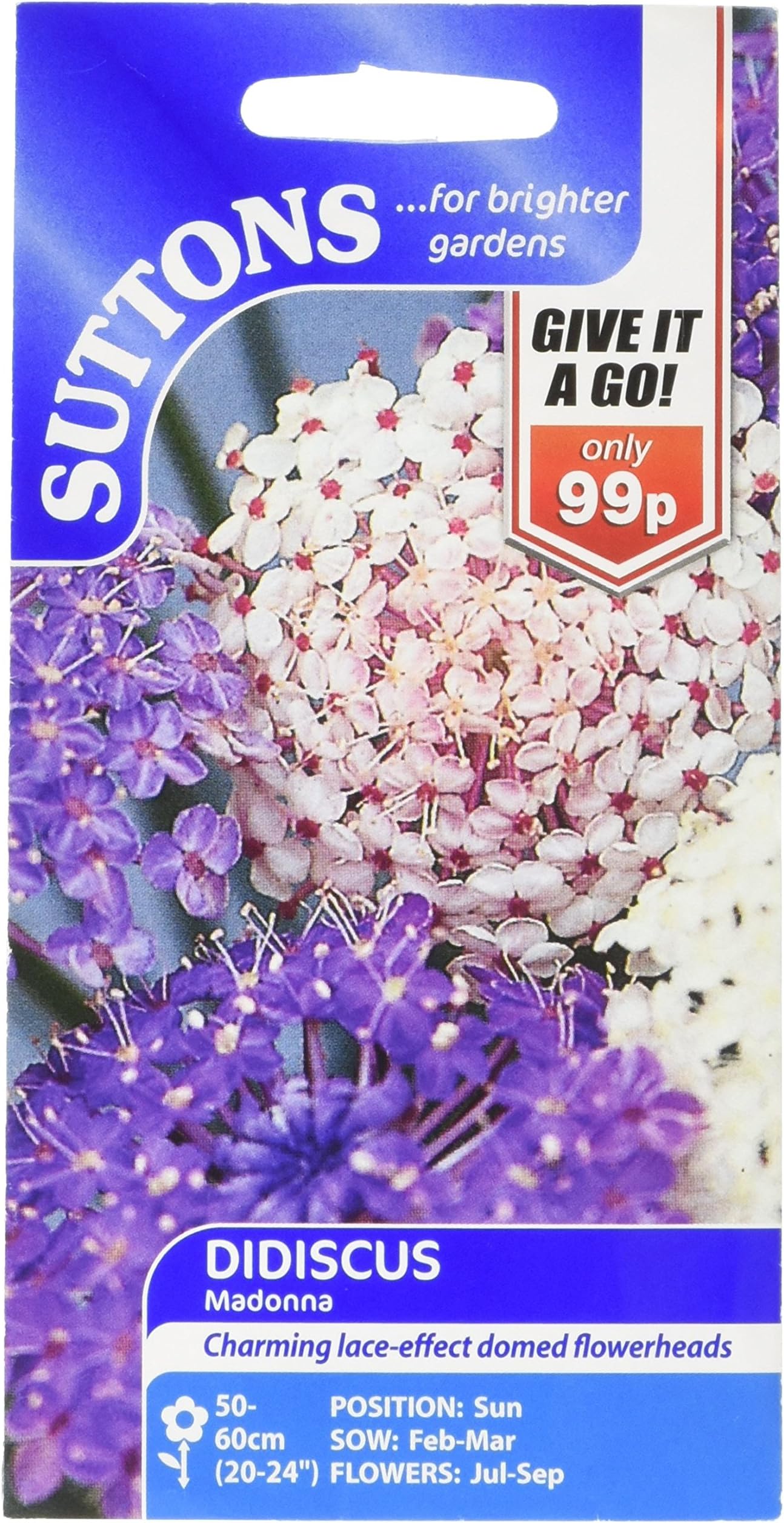 Suttons Seeds 113217 Didiscus Madonna Seed (80 Pieces)