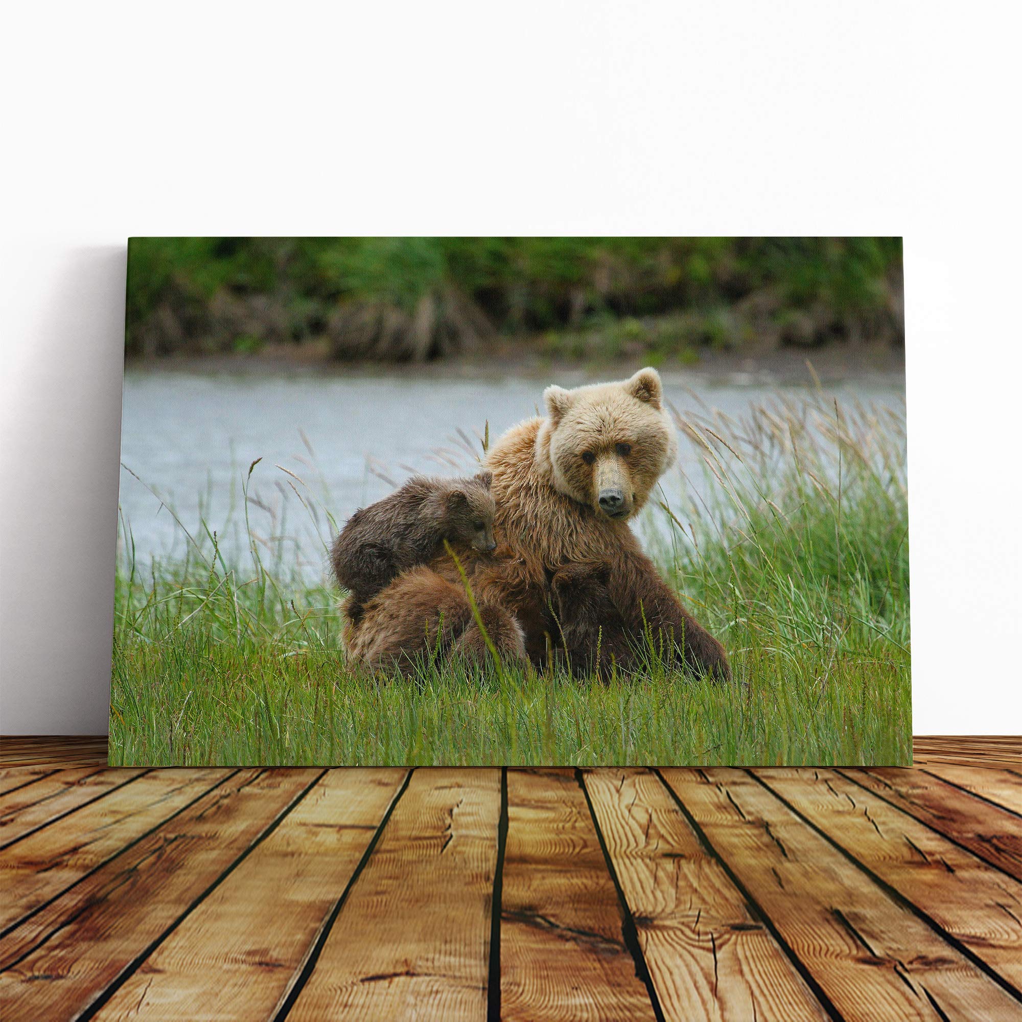 Brown Bear with Cubs (1) Canvas Print | Gallery Wrapped 30mm Frame Wall Art | 20x14 inches | Ready to Hang | Modern Animals Picture | Living Room Bedroom Lounge Office