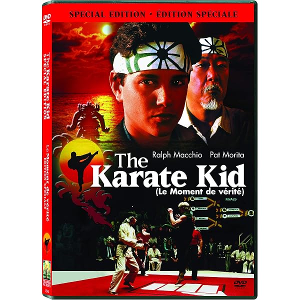 The Karate Kid III (Bilingual): Amazon.ca: Ralph Macchio, Pat