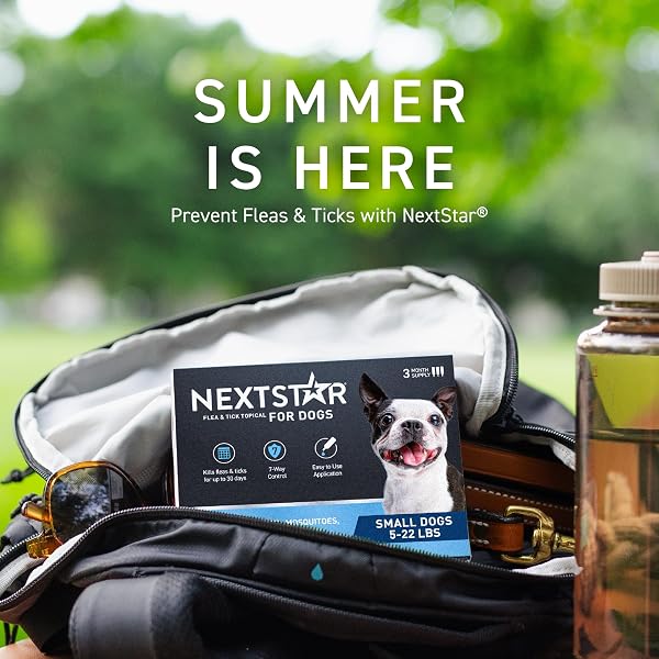NEXTSTAR FLEA AND TICK PREVENTION FOR DOGS, REPELLENT & CONTROL, FAST ACTING WATERPROOF TOPICAL DROPS, FLEA AND TICK PREVENTION FOR SMALL DOGS, 3 MONTHLY DOSES